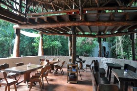 Jolie Jungle Eco Hotel