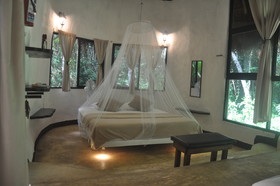 Jolie Jungle Eco Hotel