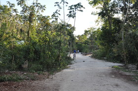 Jolie Jungle Eco Hotel