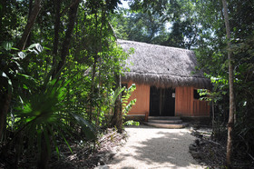 Jolie Jungle Eco Hotel