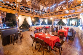 Jolie Jungle Eco Hotel