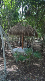 Tu Casa