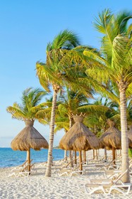 Elite Vacation Club