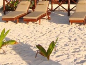 Azucar Tulum