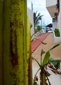 B & B Popol Vuh