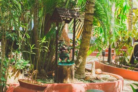 Cocos Cabanas