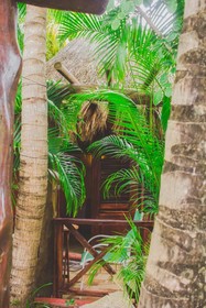 Cocos Cabanas