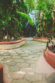 Cocos Cabanas
