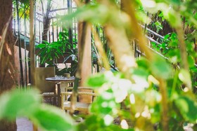Cocos Cabanas