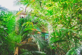 Cocos Cabanas
