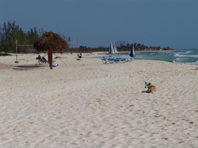 Cocos Cabanas