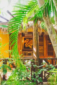 Cocos Cabanas