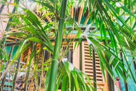 Cocos Cabanas