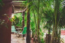 Cocos Cabanas