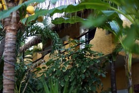 Colibri Beach Hotel