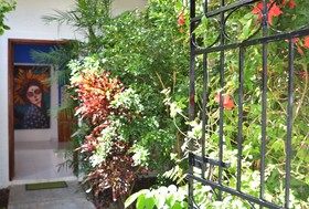 Kinta Kan Cozumel