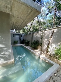 Acinté by Endémico
