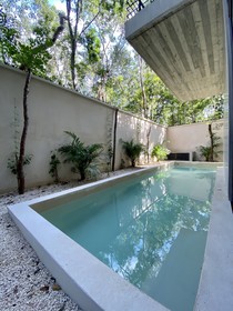 Acinté by Endémico