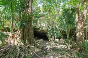 Attha Cenote