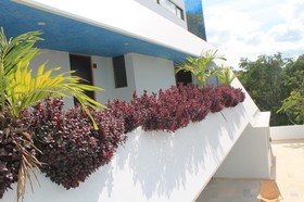 Axkan Tulum