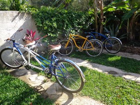 Casa Mango