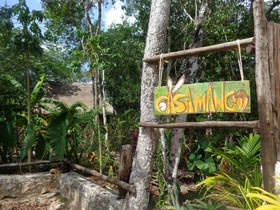 Casa Mango