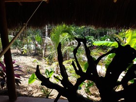 Casa Mango