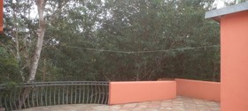 Casa Mango