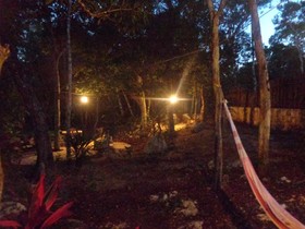 Casa Mango