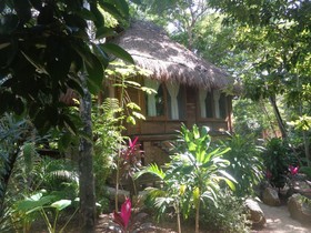 Casa Mango