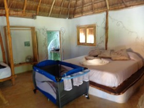 Casa Mango