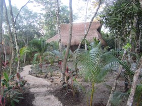 Casa Mango