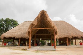 Cenote Casa Tortuga Tulum