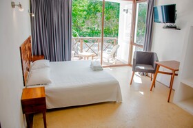 Cenote Casa Tortuga Tulum