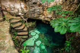 Cenote Casa Tortuga Tulum