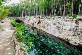 Cenote Casa Tortuga Tulum