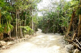 Cenote Casa Tortuga Tulum