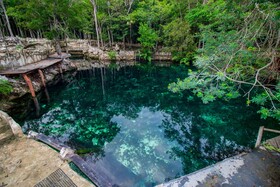 Cenote Casa Tortuga Tulum