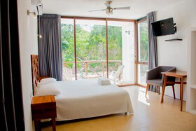 Cenote Casa Tortuga Tulum
