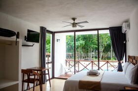 Cenote Casa Tortuga Tulum