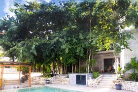 Cenote Casa Tortuga Tulum