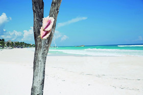 Coco Beach Club Hotel