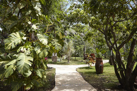 Coco Hacienda Tulum
