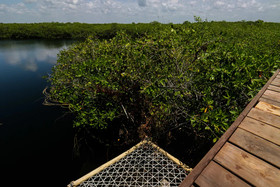 Cormoran Boutique Hotel
