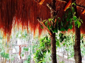 Ecovergel Riviera Maya Hotel Boutique