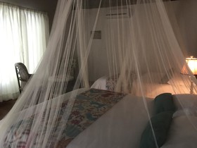 Ecovergel Riviera Maya Hotel Boutique