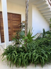 Esduma Nativa Hotel Tulum
