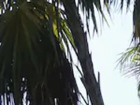 Esduma Nativa Hotel Tulum