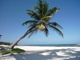Hemingway Romantic Resort