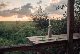 Hidden Treehouse Tulum Ecohotel